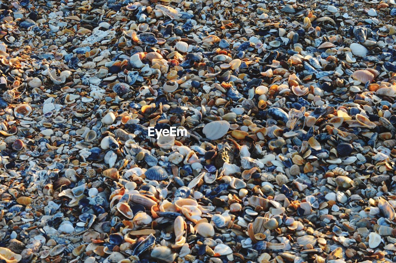 FULL FRAME SHOT OF PEBBLE BEACH