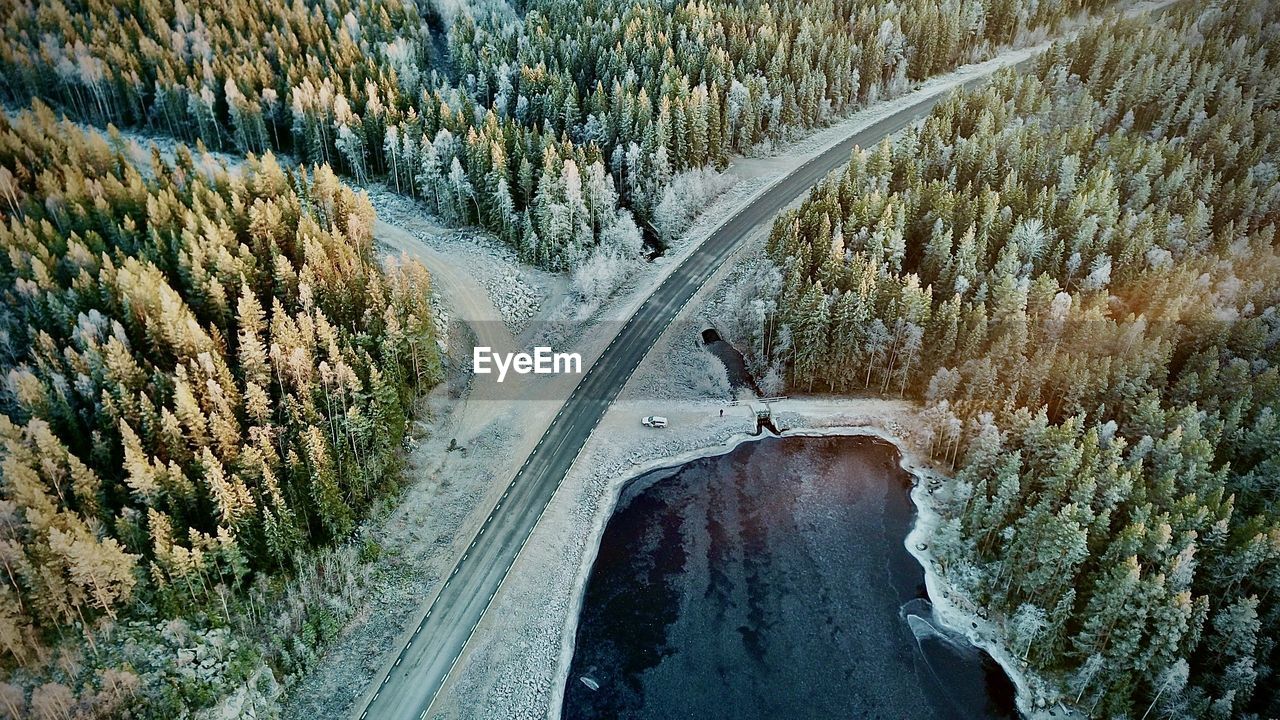 High angle view of road amidst trees