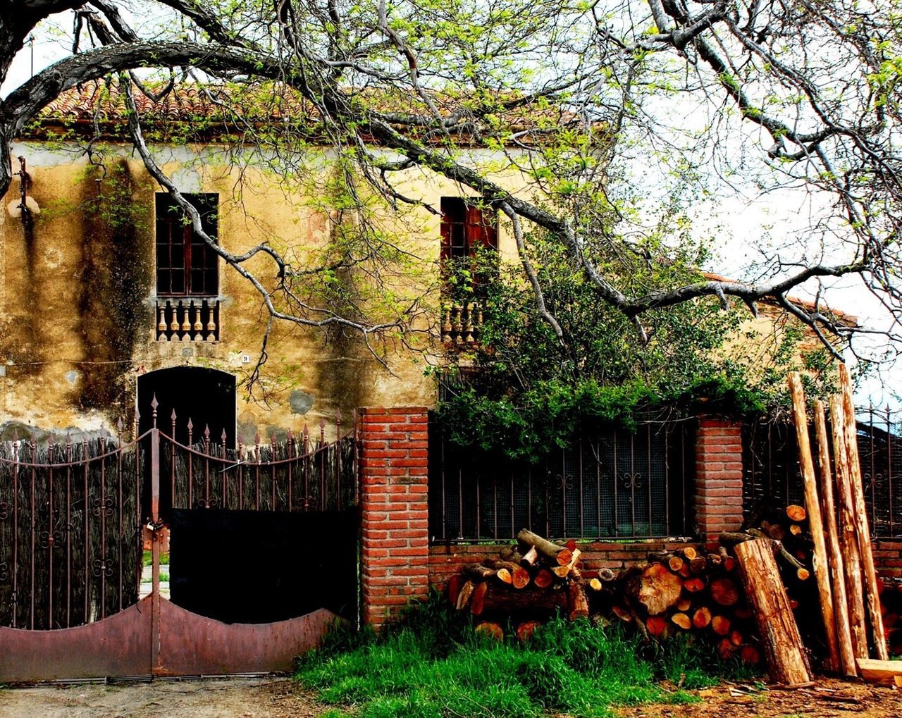 BUILDINGS WITH TREES IN FOREGROUND