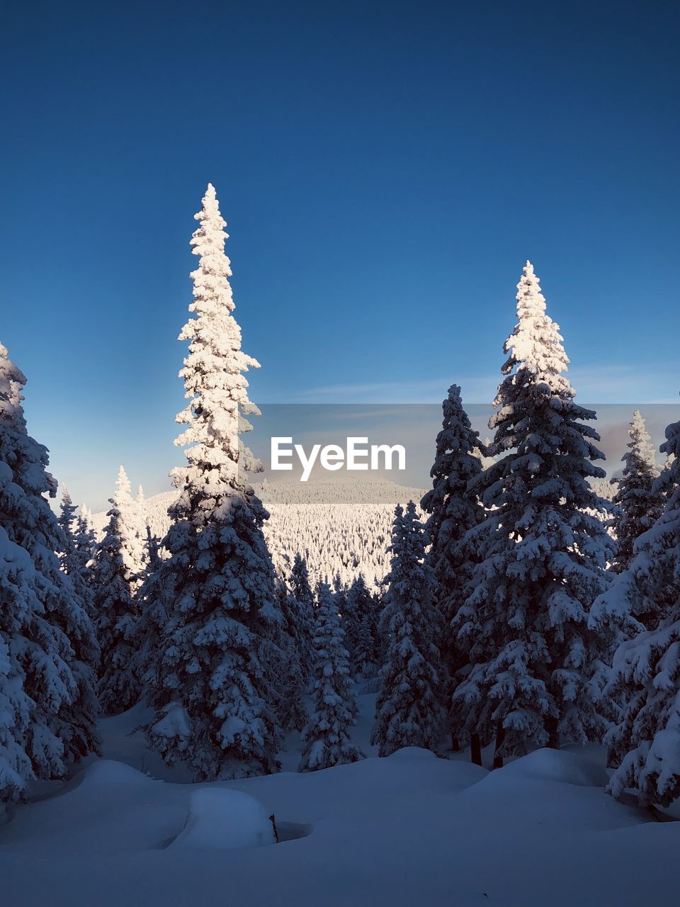 panoramic view of snow covered mountain against clear sky