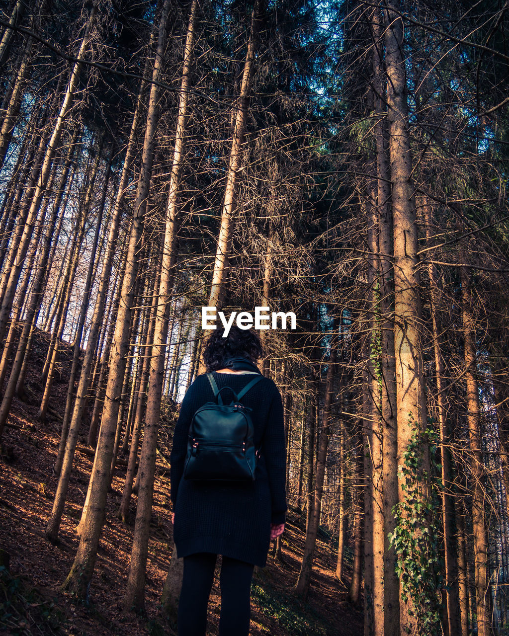Rear view of woman with backpack standing in forest