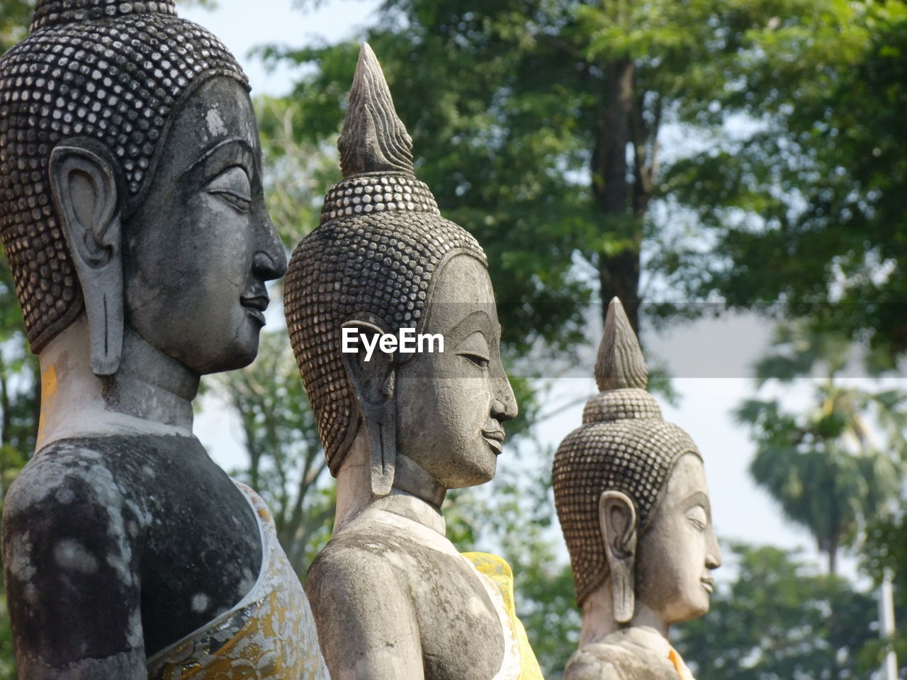 Close-up of statue against trees