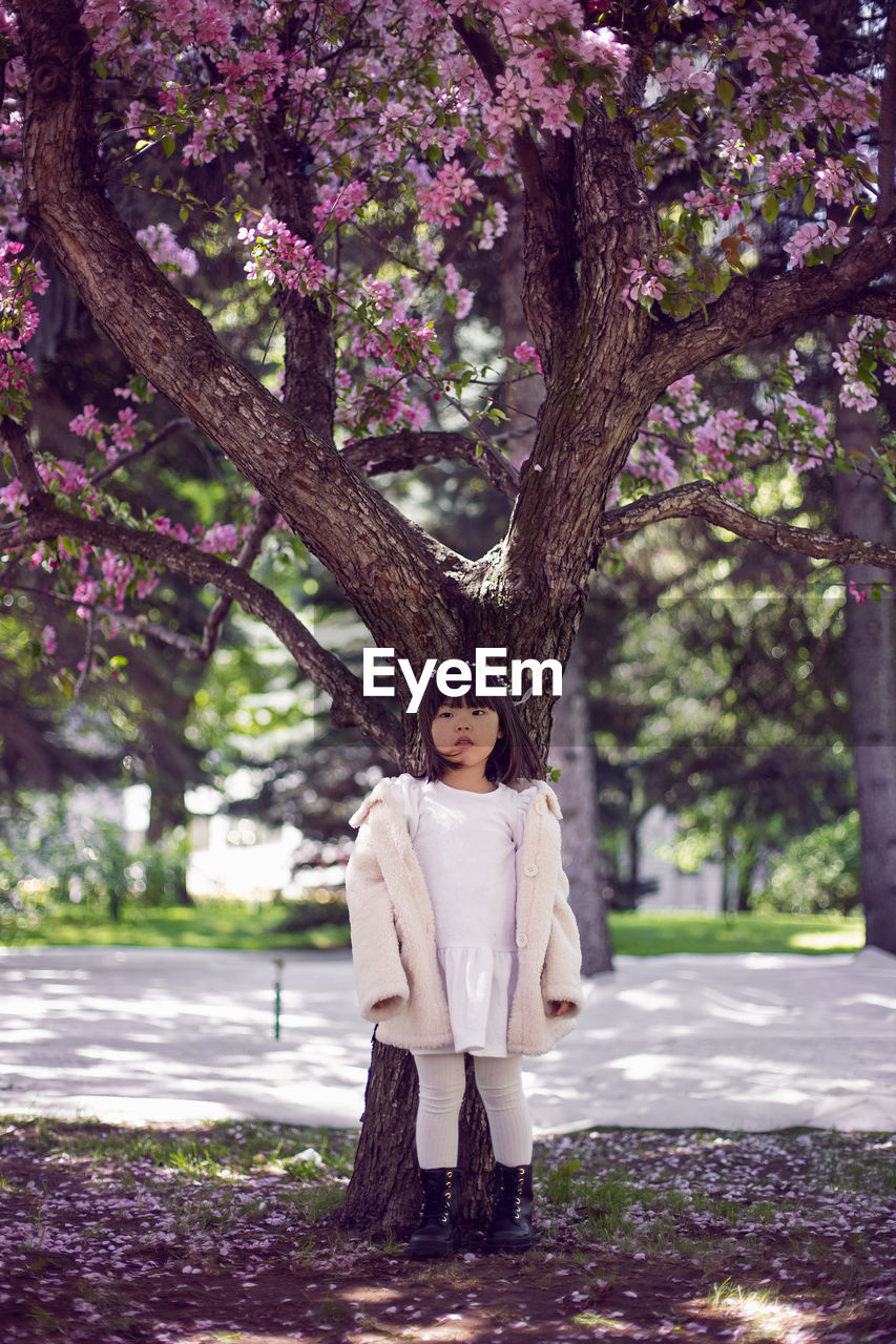 Korean girl in a white light fur coat and a headband stands in a garden with cherry blossoms