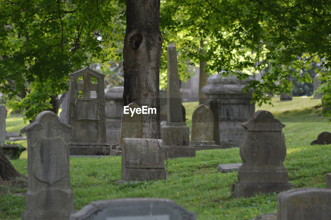 Gravestones at cemetery