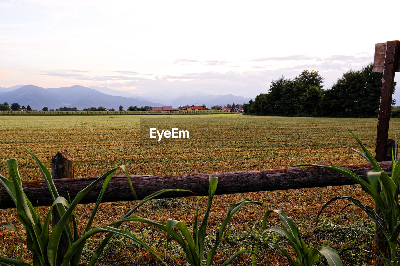 SCENIC VIEW OF FARM FIELD AGAINST SKY