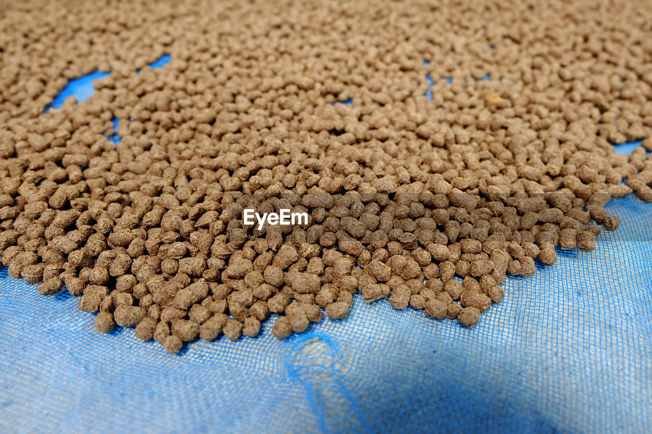 HIGH ANGLE VIEW OF DRIED ON SAND