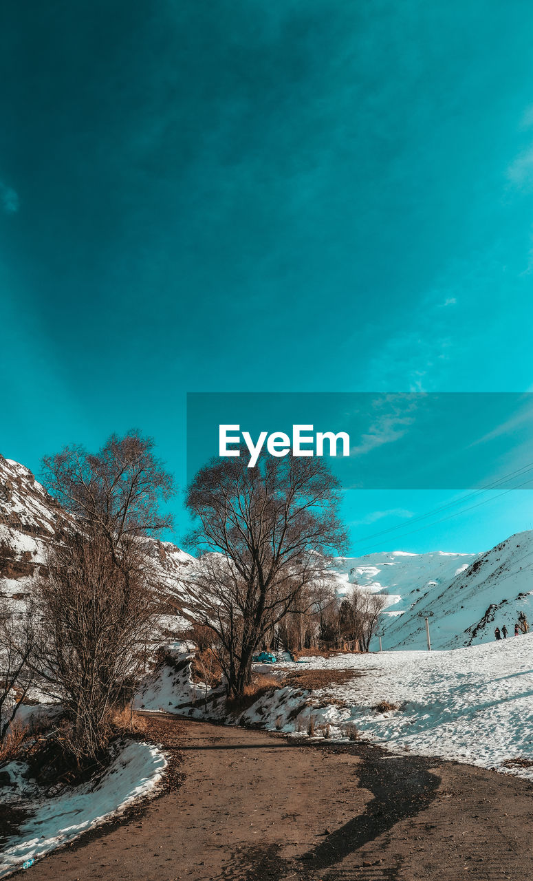 sky, tree, nature, snow, winter, cold temperature, scenics - nature, environment, plant, landscape, beauty in nature, blue, cloud, sunlight, land, no people, tranquility, bare tree, tranquil scene, morning, mountain, frozen, non-urban scene, outdoors, travel destinations, horizon, reflection, sea, water