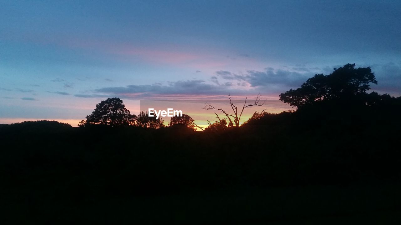 SILHOUETTE TREES ON LANDSCAPE AGAINST ROMANTIC SKY