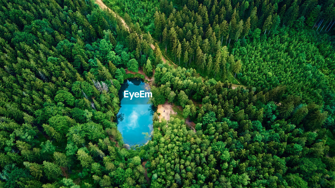 Aerial view of blue colored forest lake in poland