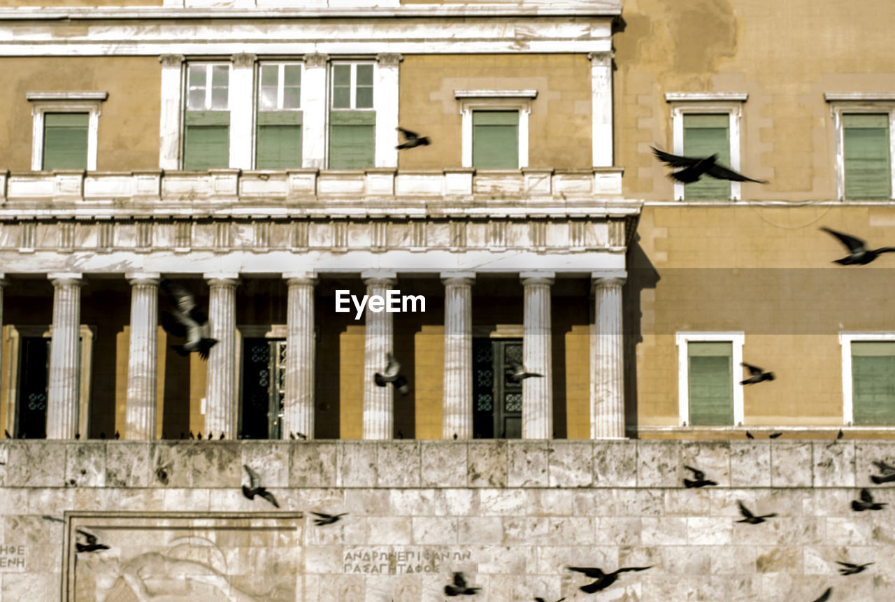 BIRDS PERCHING ON WINDOW