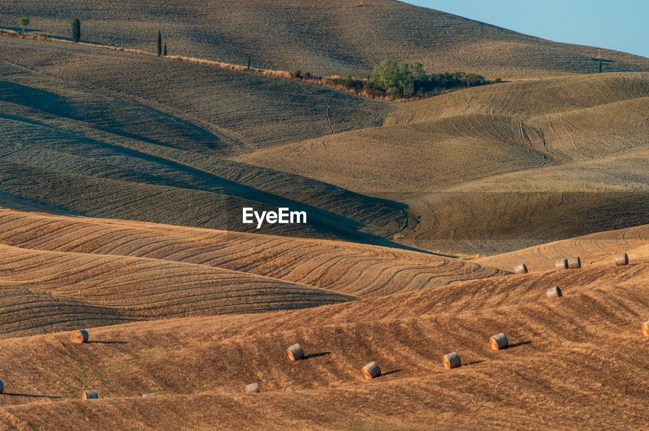 Wavy hills in tuscan farmland