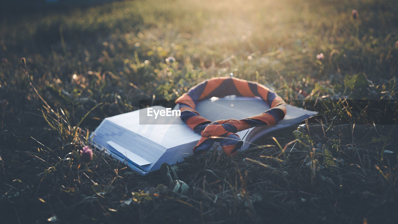 grass, plant, publication, nature, book, land, sunlight, field, morning, day, outdoors, meadow, summer, relaxation, plain, paper, reading, tranquility, lying down, arts culture and entertainment, no people, leisure activity, leaf