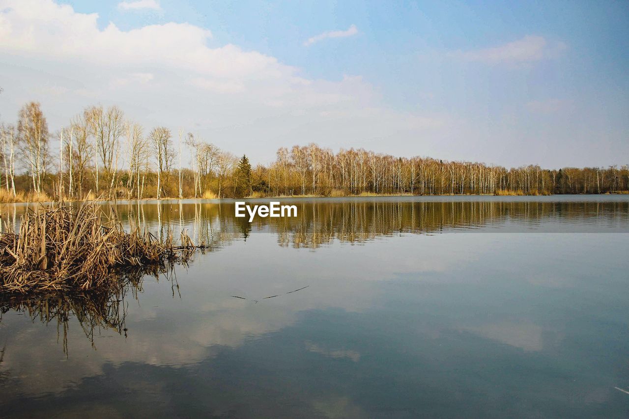 REFLECTION OF TREES ON LAKE AGAINST SKY