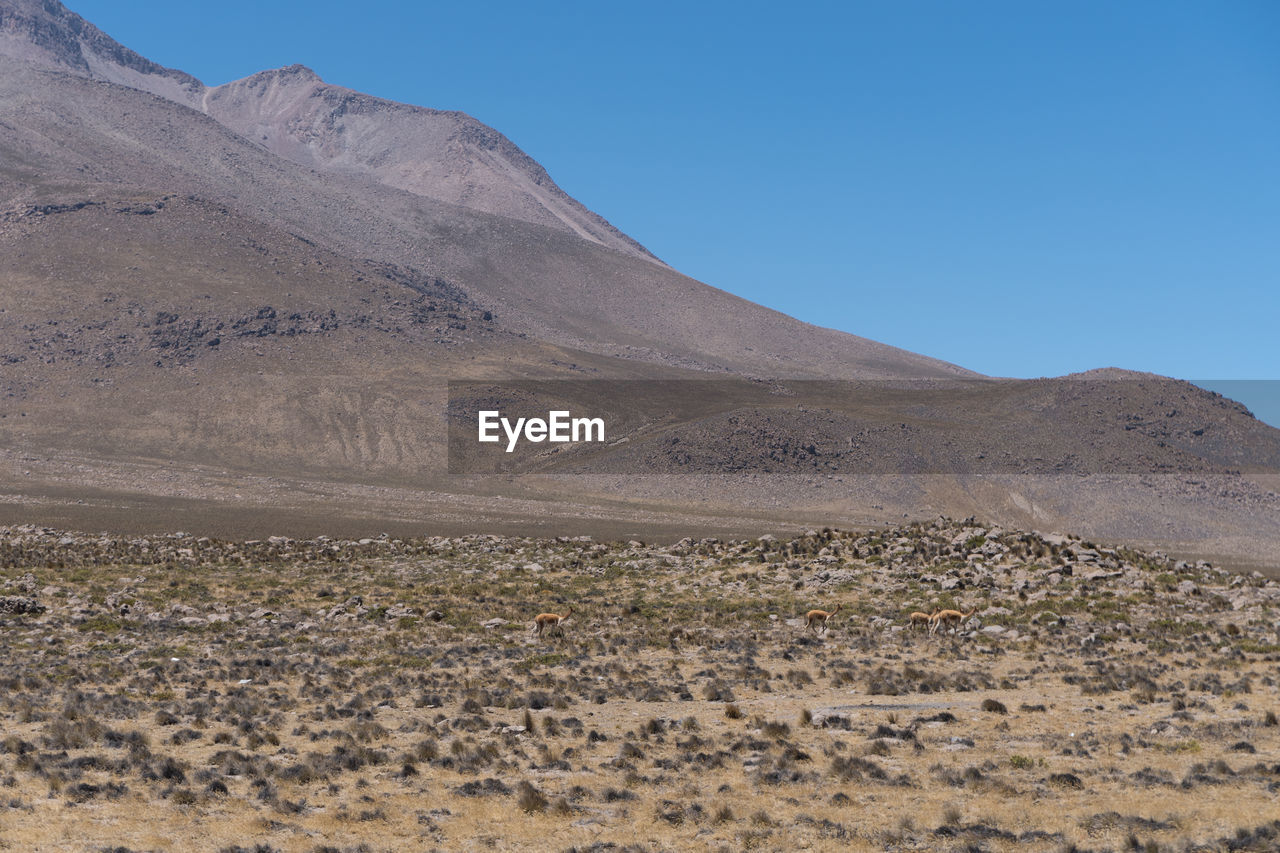 SCENIC VIEW OF ARID LANDSCAPE AGAINST CLEAR SKY