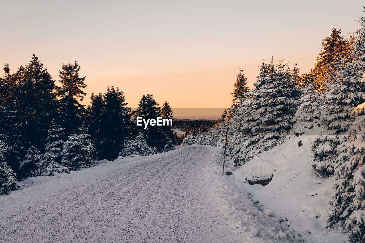 Snow covered road amidst trees against sky during sunset