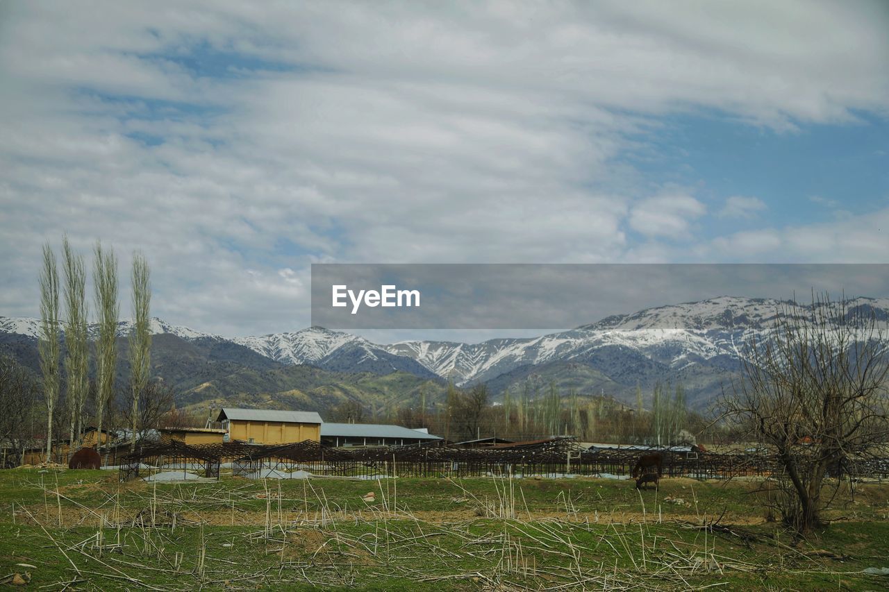 SCENIC VIEW OF FIELD AGAINST CLOUDY SKY