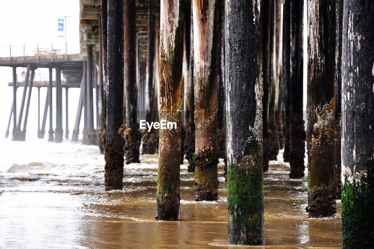 WOODEN POSTS IN RIVER
