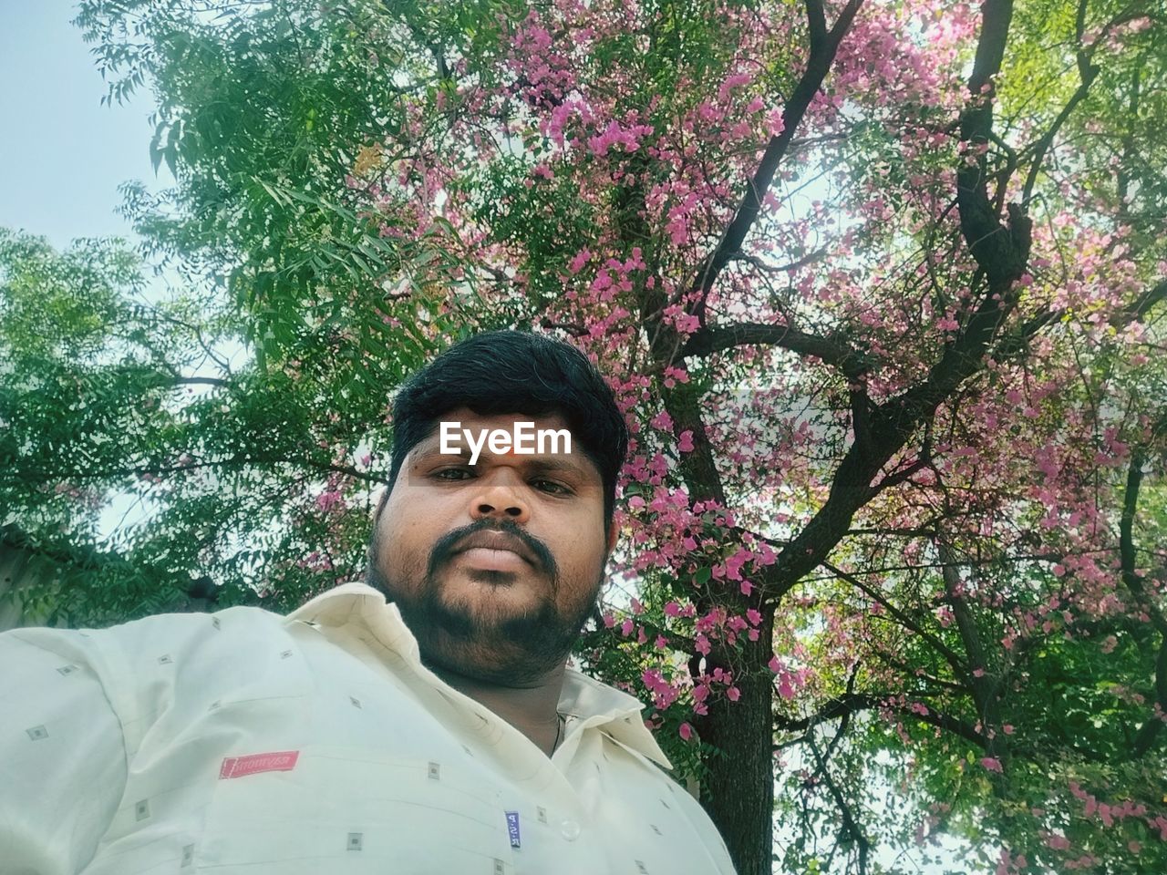 plant, one person, tree, flower, spring, portrait, nature, men, growth, beard, adult, front view, facial hair, headshot, young adult, low angle view, day, flowering plant, lifestyles, standing, leisure activity, beauty in nature, outdoors, waist up, looking at camera, casual clothing, person, looking, blossom, branch, freshness