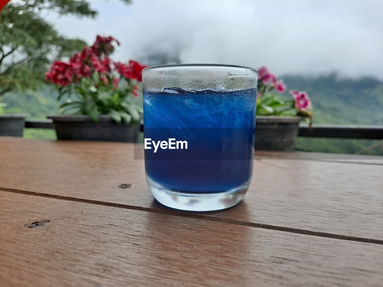 Close-up of drink in glass on table