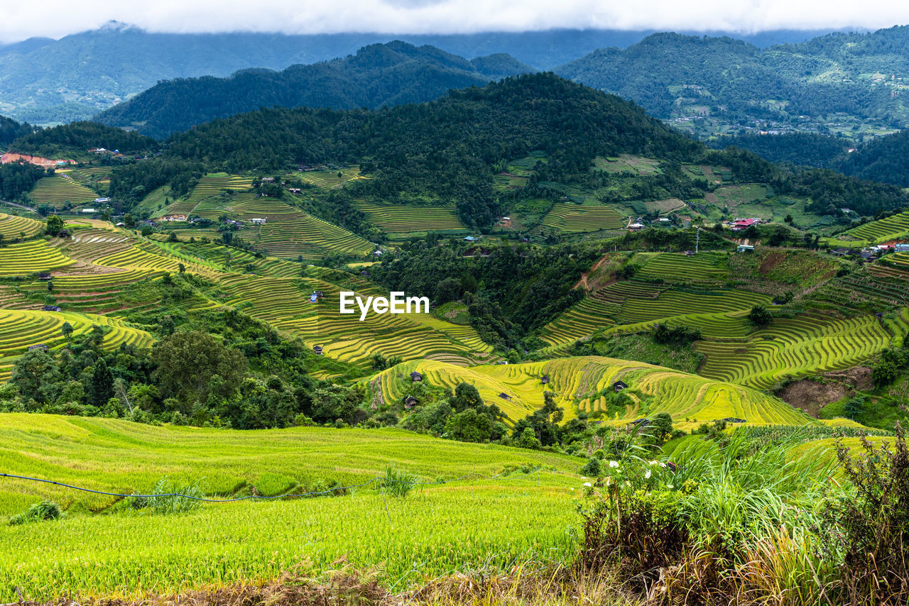 high angle view of landscape