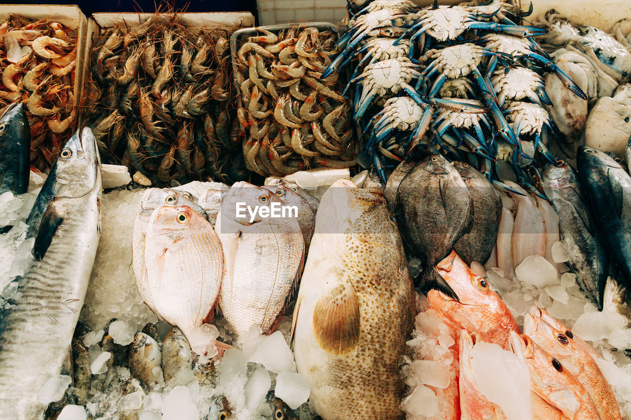 high angle view of seafood for sale at market stall