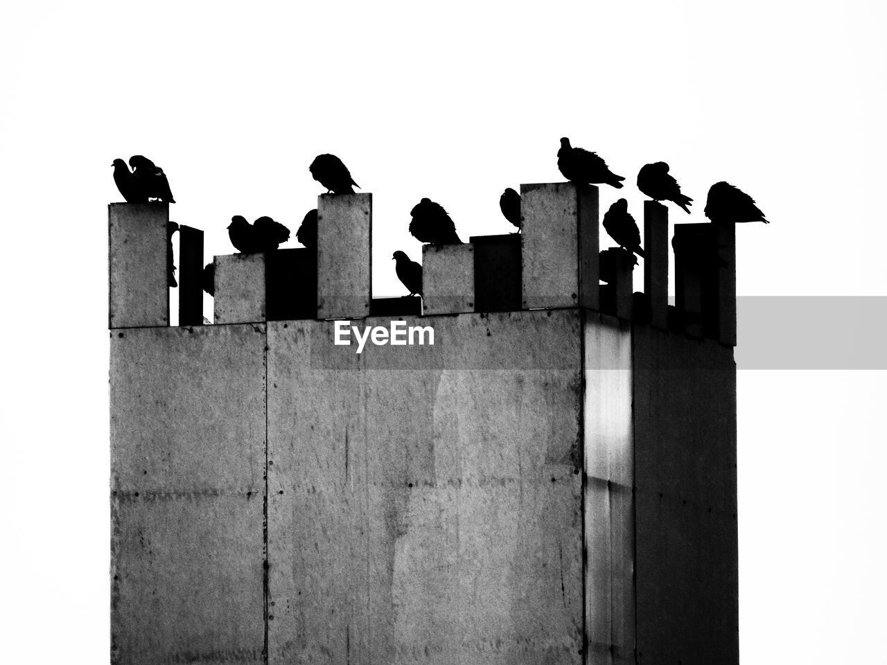 LOW ANGLE VIEW OF BIRDS PERCHING ON BUILT STRUCTURE AGAINST SKY