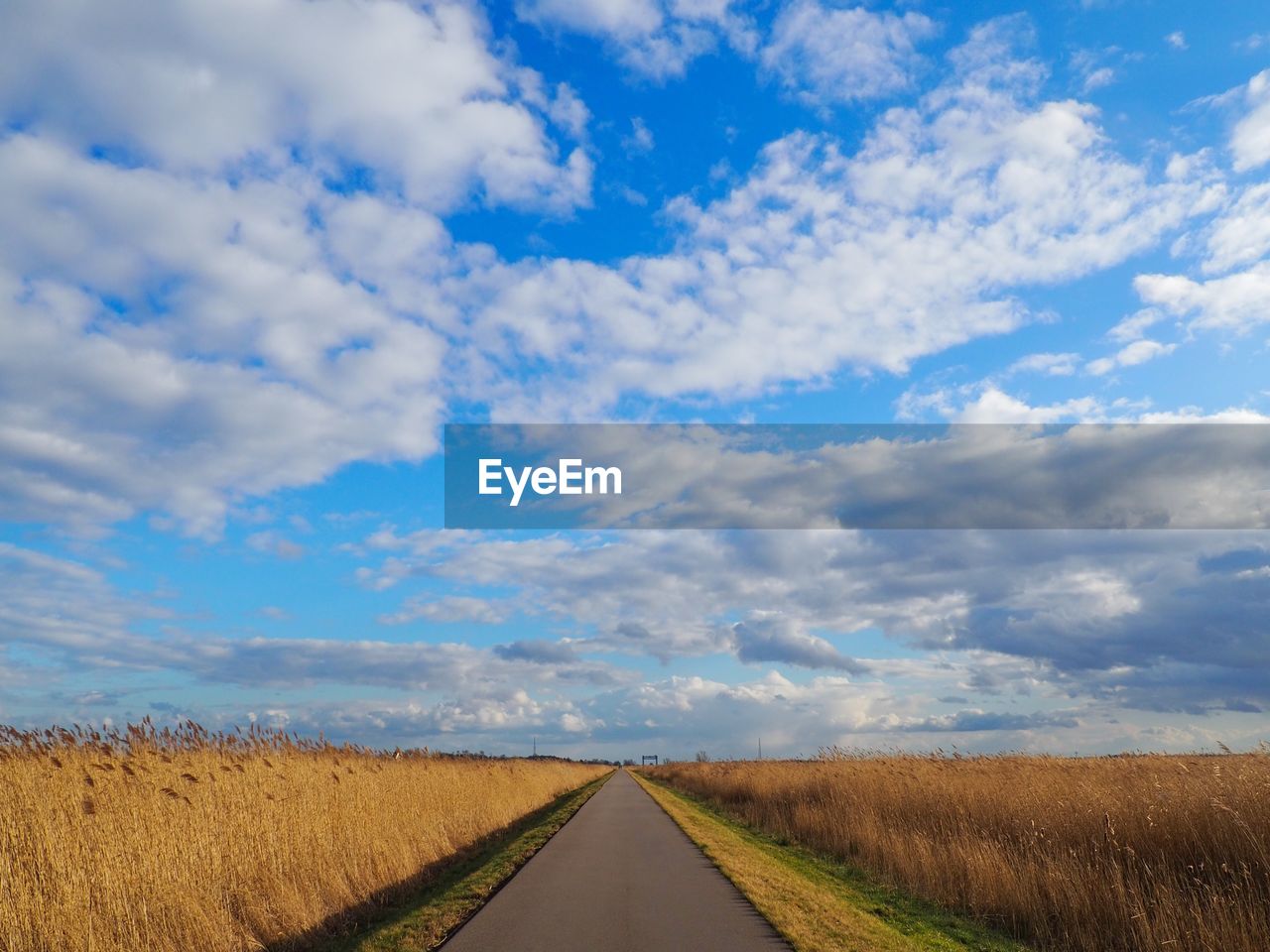 Empty road amidst field against sky