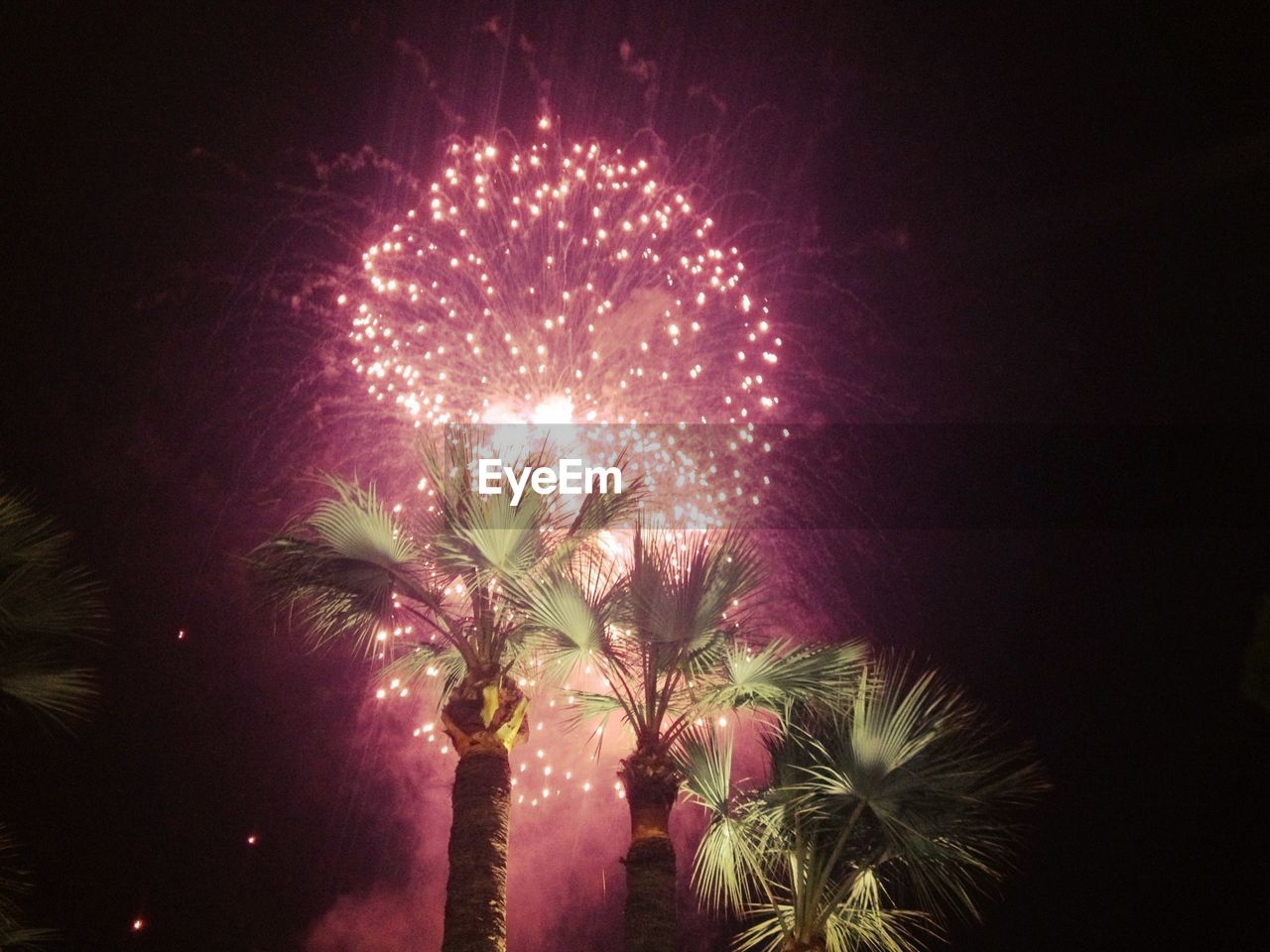 Fireworks at night with trees in background