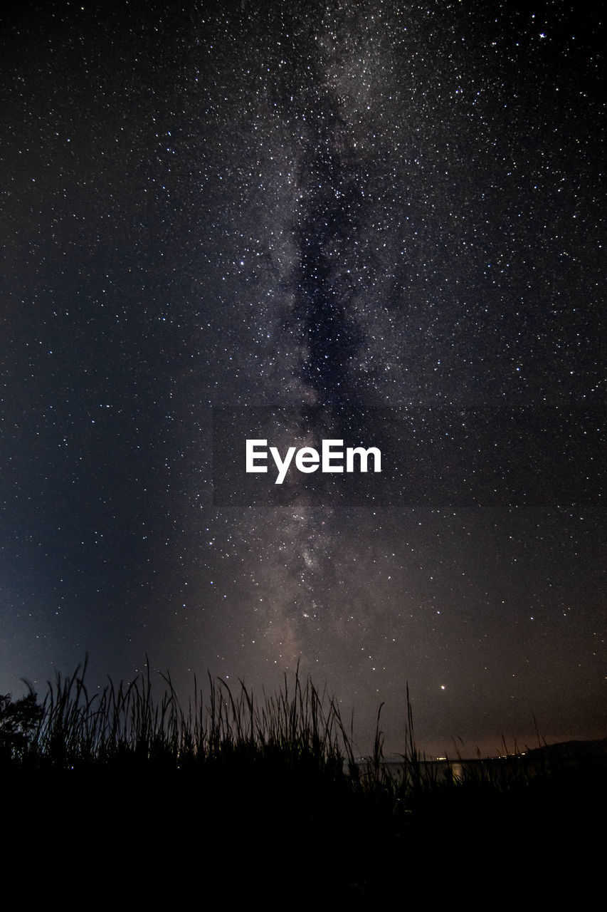 Silhouette landscape against star field at night