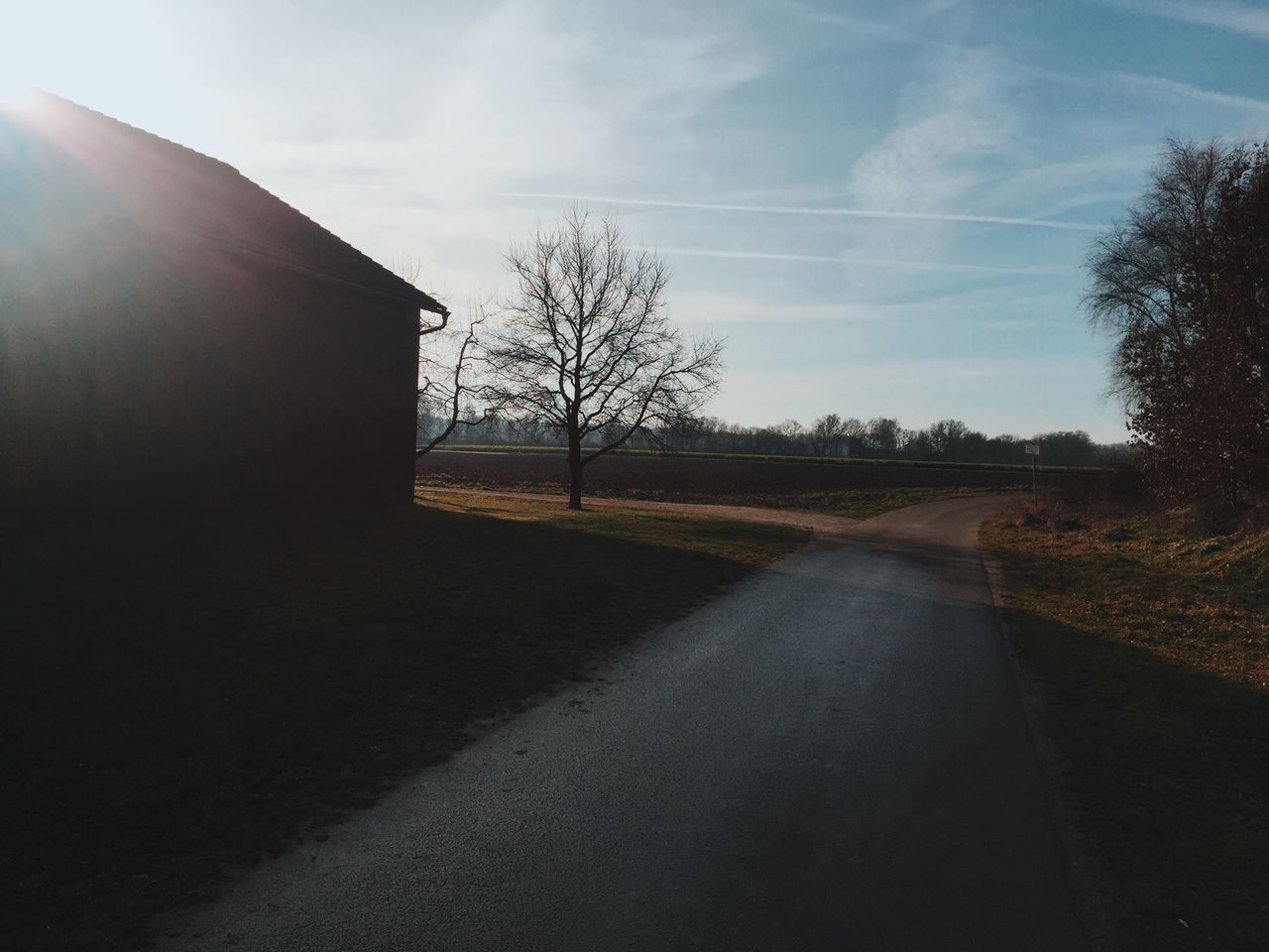 ROAD BY TREE AGAINST SKY