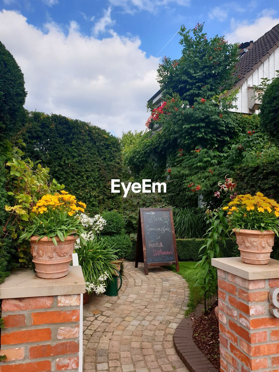 POTTED PLANTS AND TREES BY STONE WALL