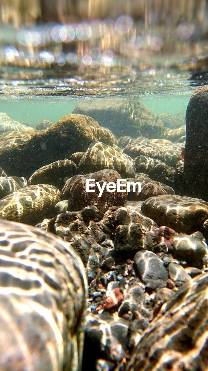 CLOSE-UP OF PEBBLES ON SEA