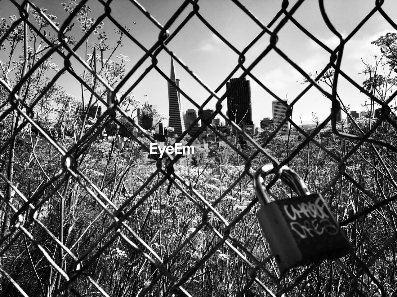 CLOSE-UP OF CHAINLINK FENCE AGAINST SKY