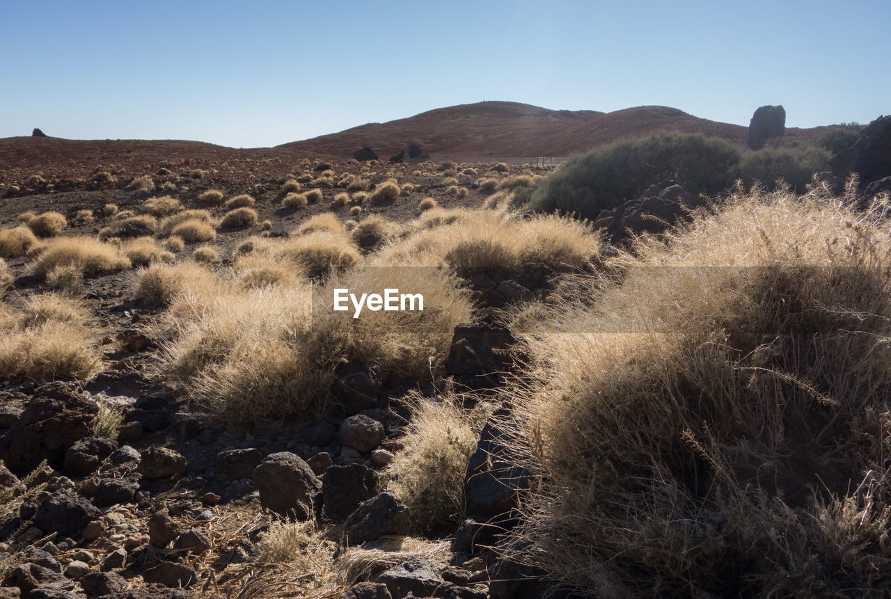 Scenic view of volcanic landscape against clear sky