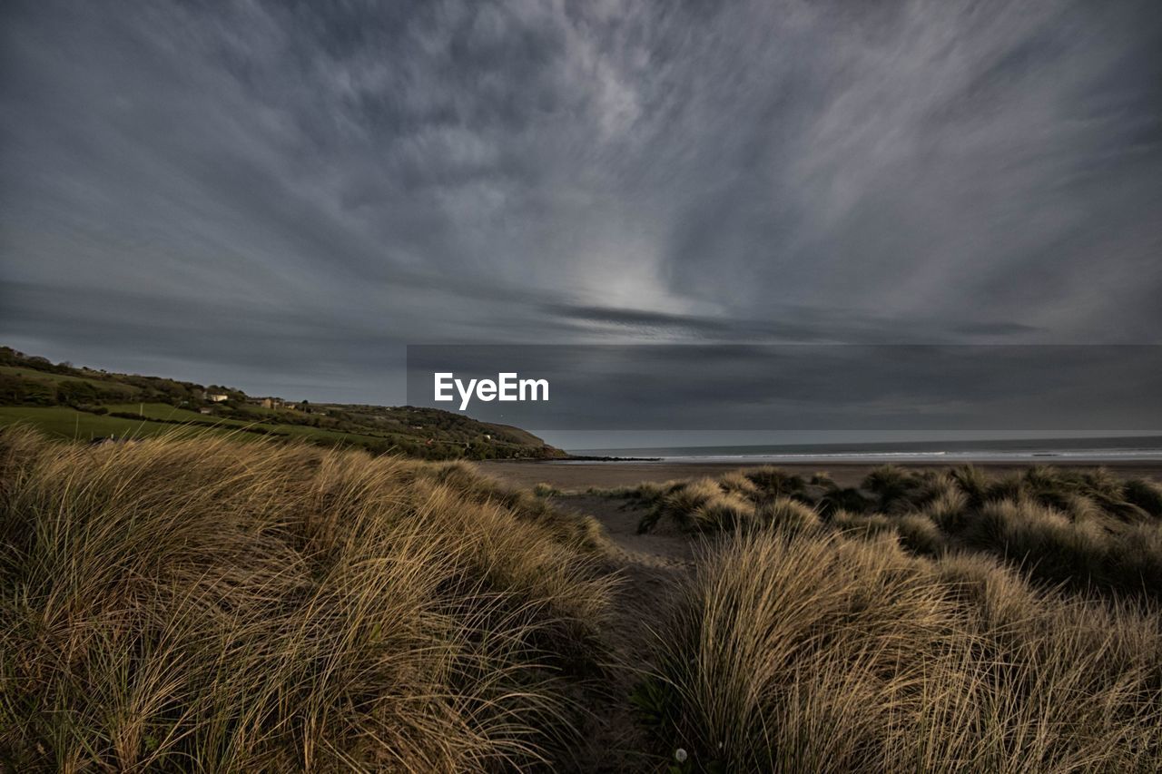 Scenic view of beach against sky