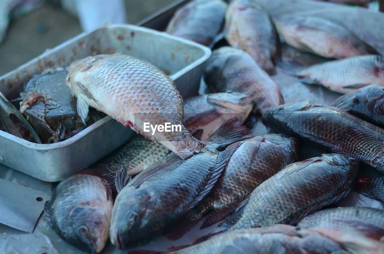 High angle view of fish for sale at market