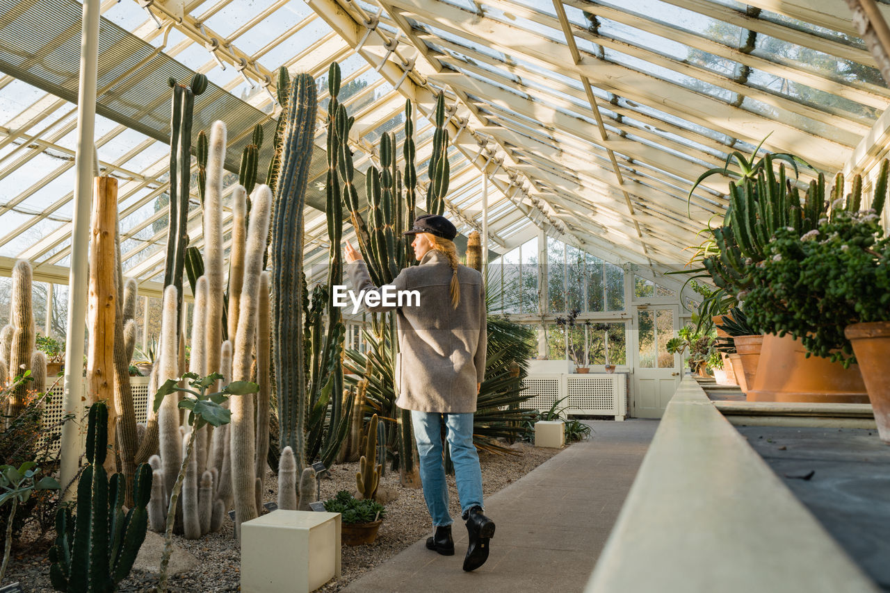 Woman standing next to the cacti and succulent plants inside the greenhouse