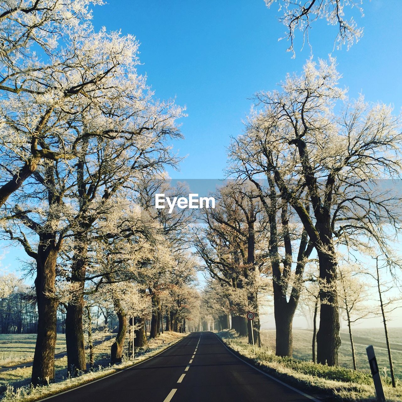 Empty road along bare trees against sky