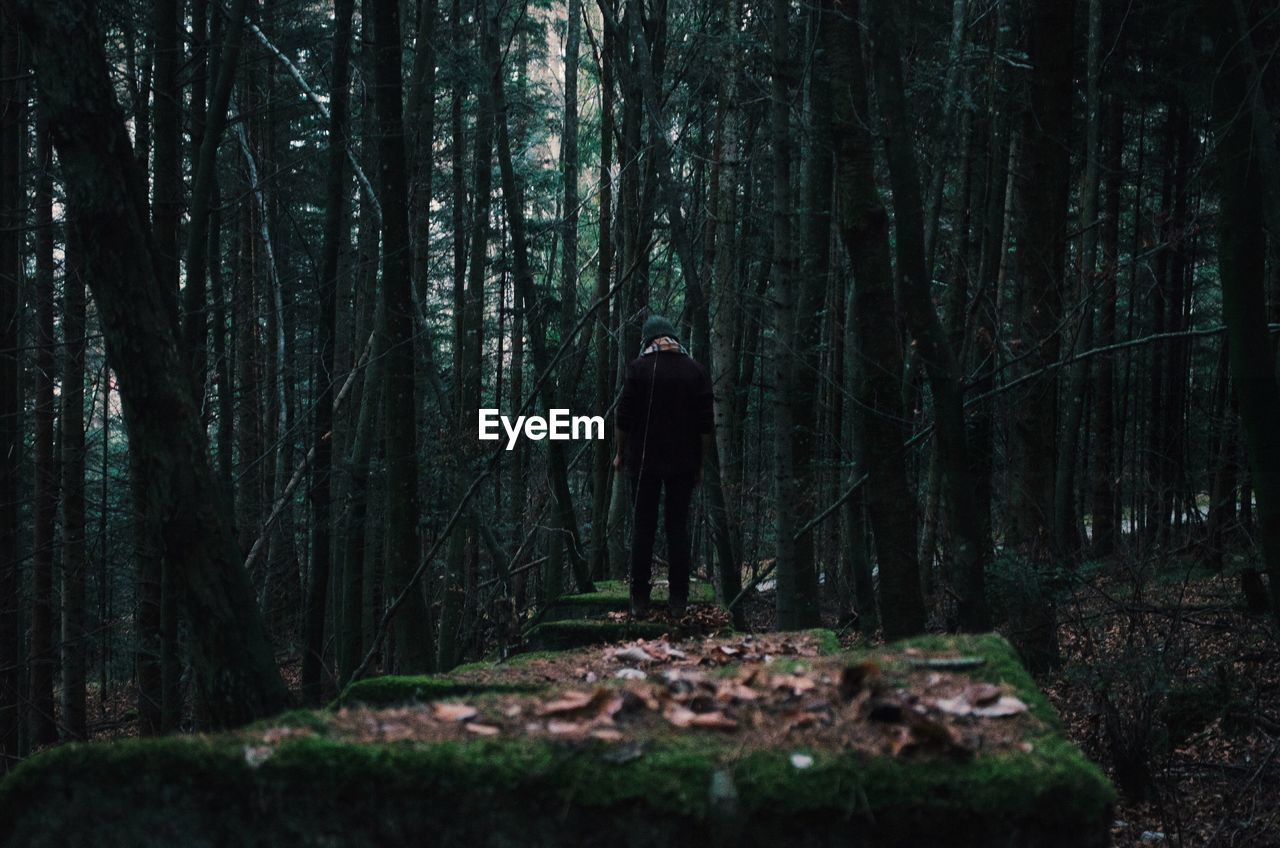 Man standing in the forest