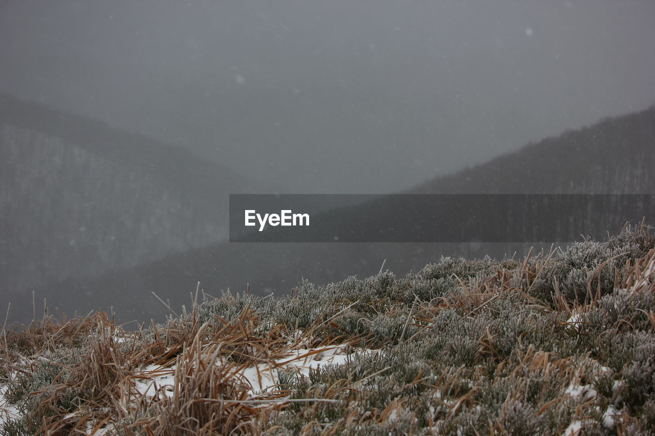 Scenic view of snow covered land