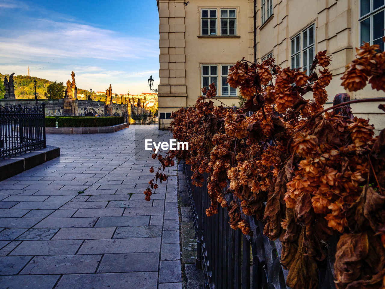 STREET AMIDST BUILDINGS IN CITY