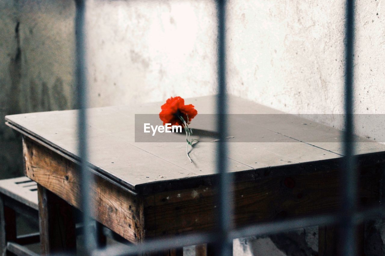 Red flowers on table seen through window