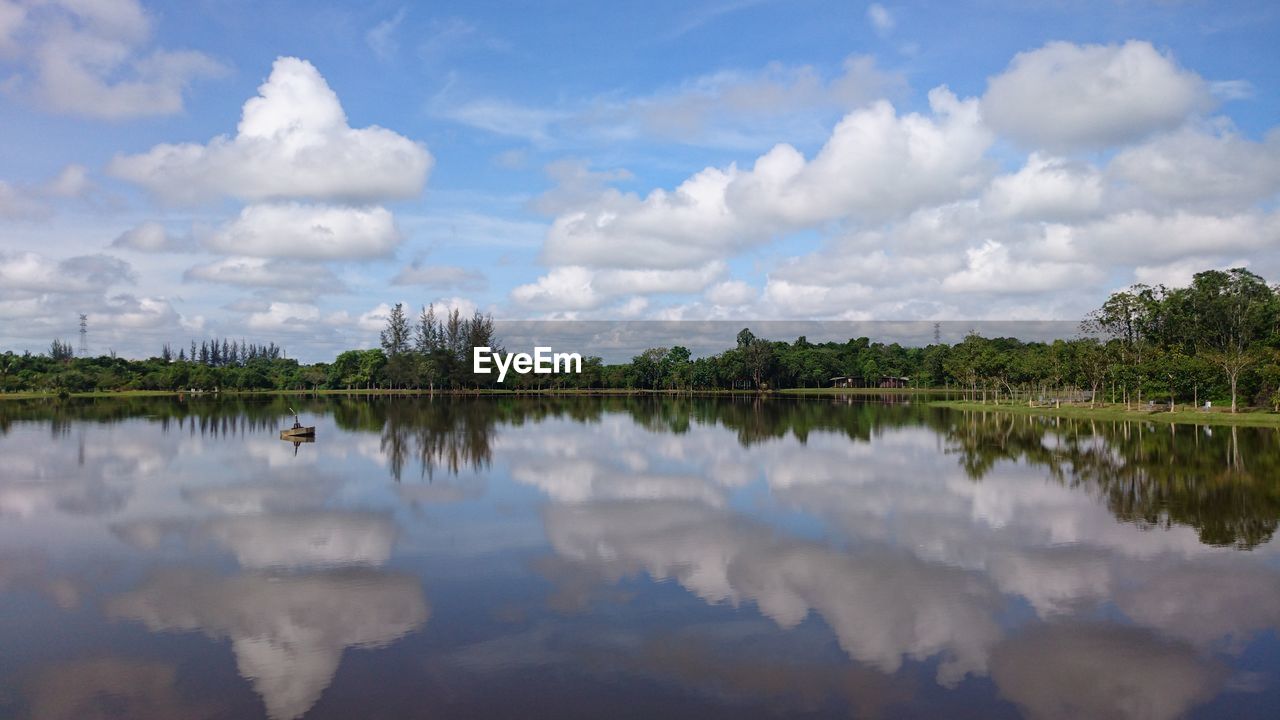 Reflection of trees in calm lake