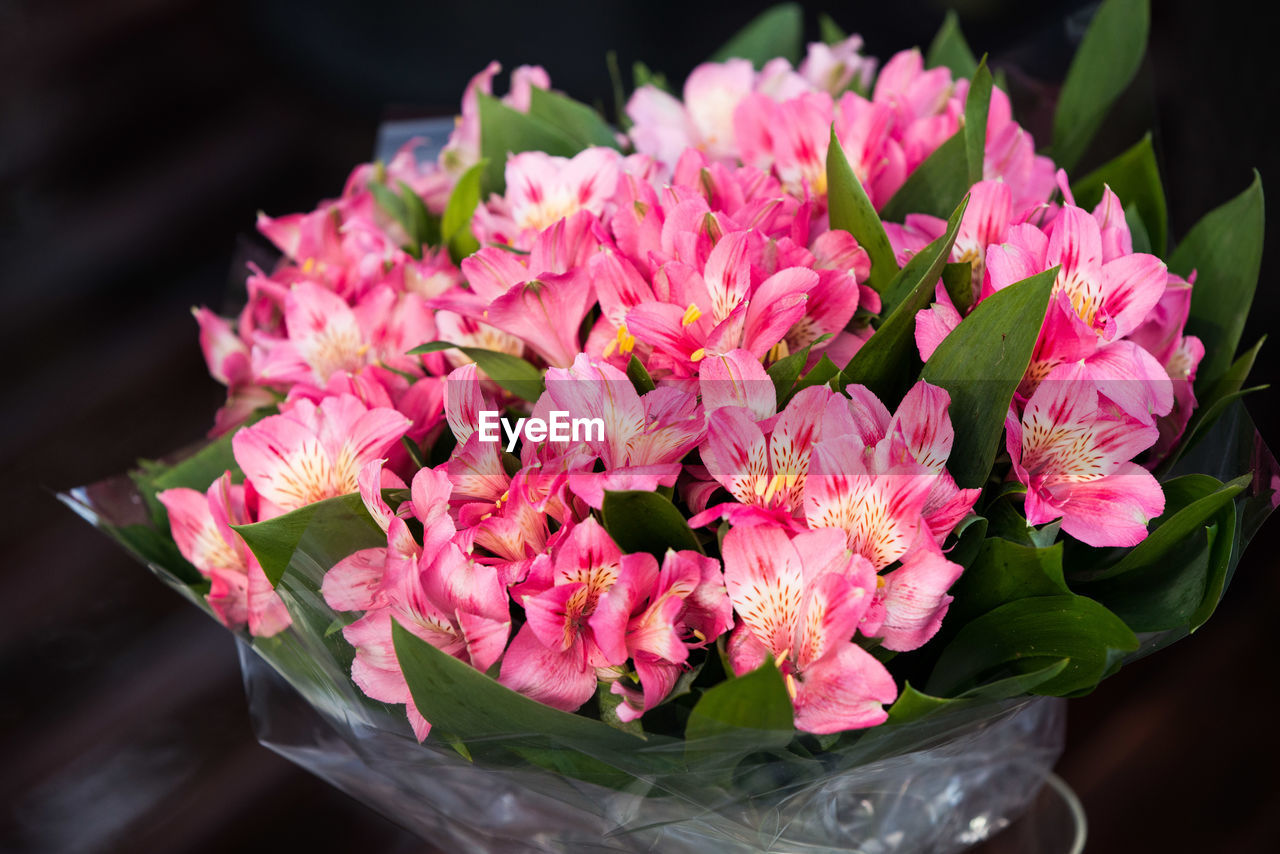 HIGH ANGLE VIEW OF PINK BOUQUET