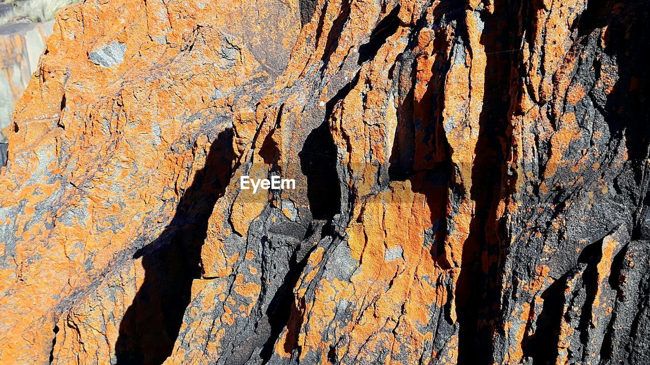 FULL FRAME SHOT OF TREE TRUNK WITH ROCK