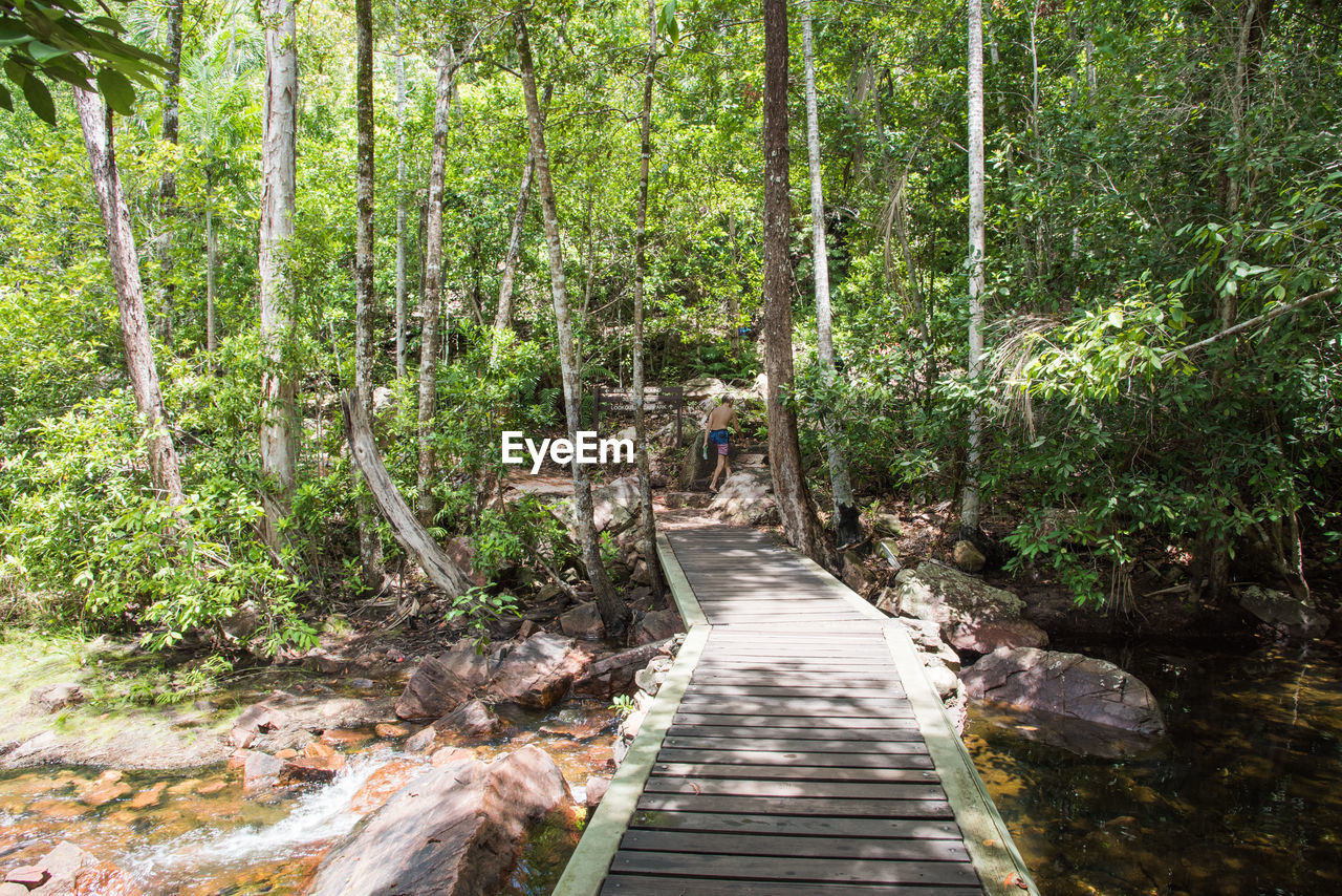 Boy on footpath amidst trees in forest