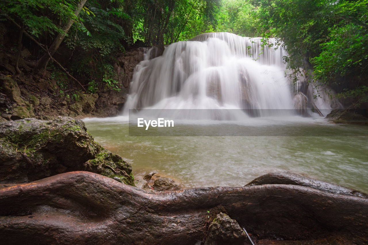 WATERFALL IN FOREST