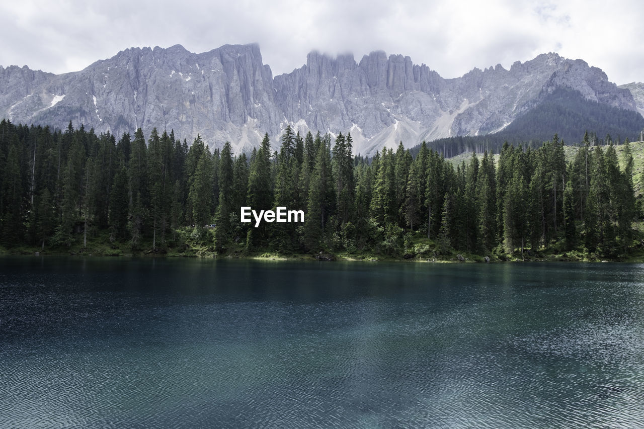 tree, mountain, scenics - nature, beauty in nature, forest, plant, wilderness, pine tree, lake, water, coniferous tree, nature, pine woodland, pinaceae, sky, mountain range, tranquil scene, land, tranquility, reflection, environment, landscape, cloud, no people, non-urban scene, travel destinations, woodland, idyllic, travel, day, outdoors, snow, body of water, remote, tourism, mountain peak