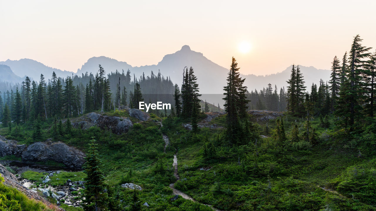 Calm quiet morning at the high alpine trail in washington