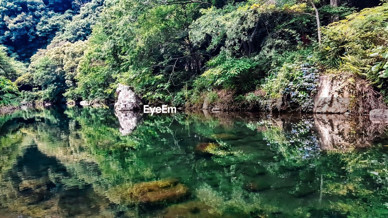 SCENIC VIEW OF LAKE